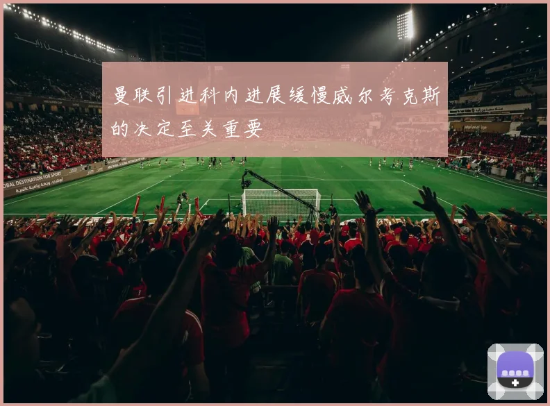曼联引进科内进展缓慢威尔考克斯的决定至关重要